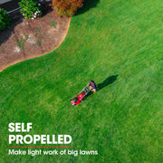 BAUMR-AG Petrol Lawn Mower 220cc 20