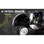 BAUMR-AG 31cc Grass Petrol Lawn Edger - EX-880R
