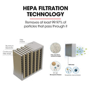 BAUMR-AG 20L 1200W Ash Vacuum Cleaner, for Fireplace, BBQ, Fire Pit