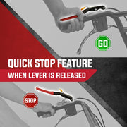 BAUMR-AG 6.5HP Mini Dumper Power Barrow Petrol-Powered with Galvanised Bucket