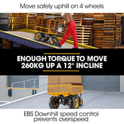 BAUMR-AG 40V Battery Powered Material Handling Dumper Wheelbarrow Motorised Electric, 300kg Capacity