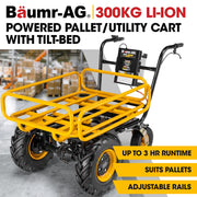 BAUMR-AG 40V Battery Powered Material Handling Dumper Wheelbarrow Motorised Electric, 300kg Capacity