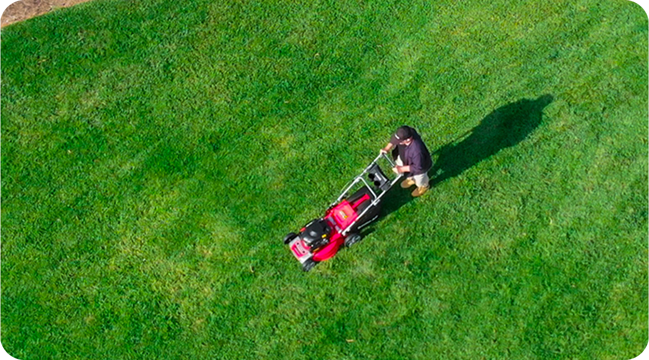 Section 6 Image