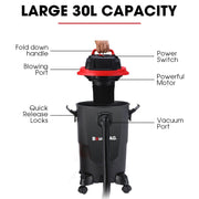 BAUMR-AG 30L 1200W Wet and Dry Vacuum Cleaner, with Blower, for Car, Workshop, Carpet